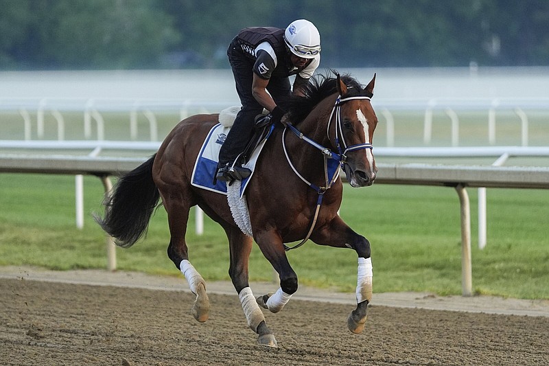 Kentucky Derby winner Mystik Dan, shown during a workout earlier this week at Saratoga Race Course in Saratoga Springs, N.Y., will race against Preakness Stakes winner Seize the Grey in Saturday’s 156th running of the Belmont Stakes. It marks the first time since 2013 that the winners of the first two legs of the Triple Crown have raced against one another in the third leg.
(AP/Julia Nikhinson)