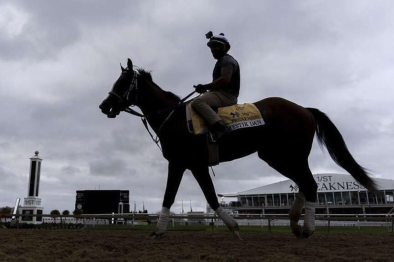 Kentucky Derby winner and Preakness Stakes entrant Mystik Dan works out ahead of the 149th running of the Preakness Stakes horse race at Pimlico Race Course, Friday, May 17, 2024, in Baltimore. (AP Photo/Julia Nikhinson)