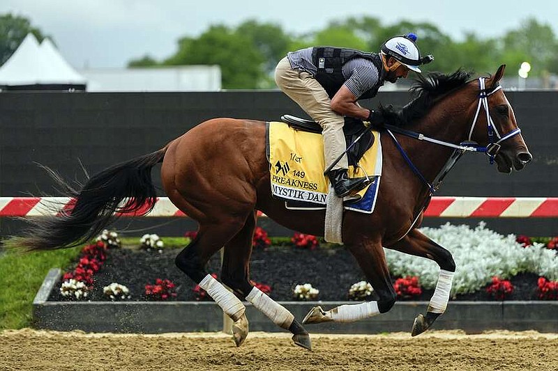 FILE - Kentucky Derby winner and Preakness Stakes entrant Mystik Dan works out ahead of the 149th running of the Preakness Stakes horse race at Pimlico Race Course, Friday, May 17, 2024, in Baltimore. (AP Photo/Julia Nikhinson)