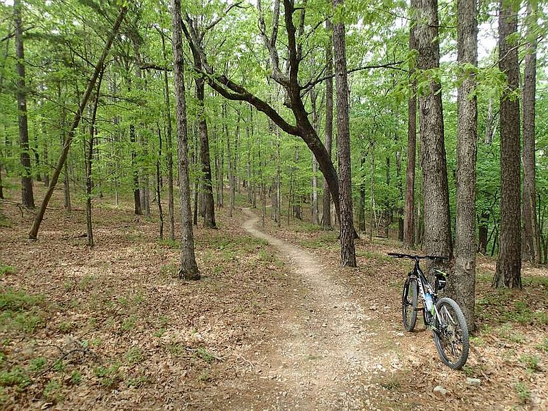 Combining Wolf Den Loop and Karst Loop hiking and biking trails at Hobbs State Park-Conservation Area makes for a scenic 12-mile mountiain bike ride. Visit nwaonline.com/photo for today's photo gallery. Visit nwaonline.com/photo for today's photo gallery.
(NWA Democrat-Gazette/Flip Putthoff)