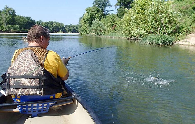 Alan Bland of Rogers battles a smallmouth bass on the Elk River near Pineville, Mo. Fishing was good on a 4-mile float fishing trip. Visit nwaonline.com/photo for today's photo gallery.
(NWA Democrat-Gazette/Flip Putthoff)